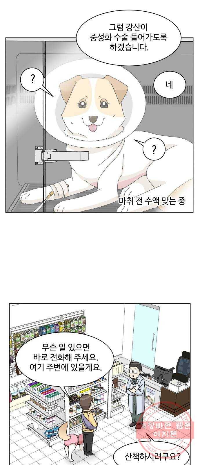 개를 낳았다 시즌2 74화 2