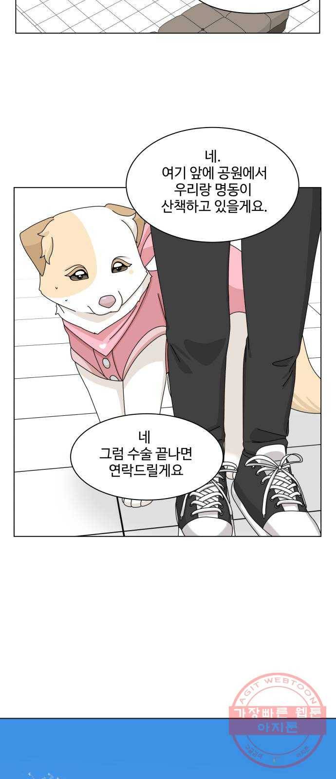 개를 낳았다 시즌2 74화 3