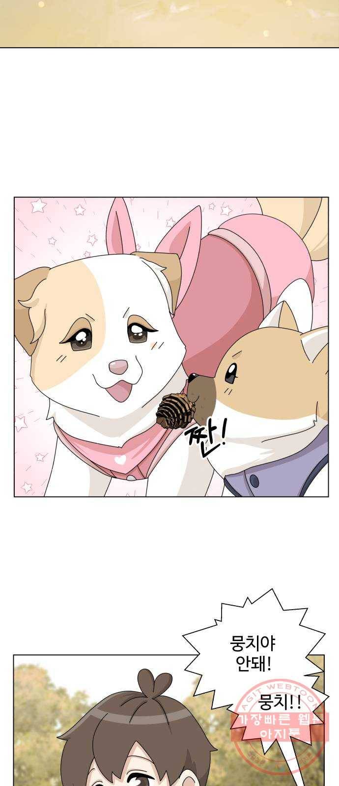 개를 낳았다 시즌2 74화 6
