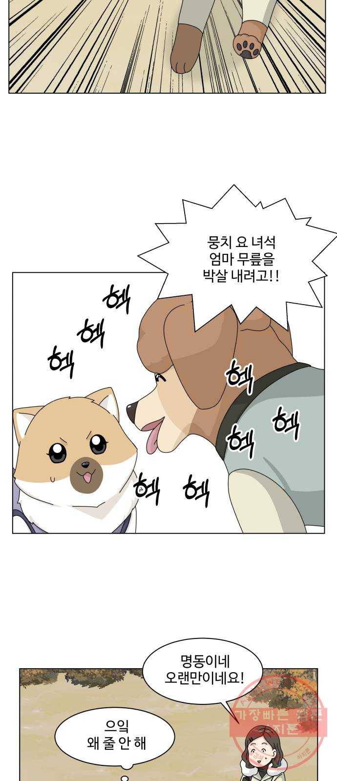 개를 낳았다 시즌2 74화 8