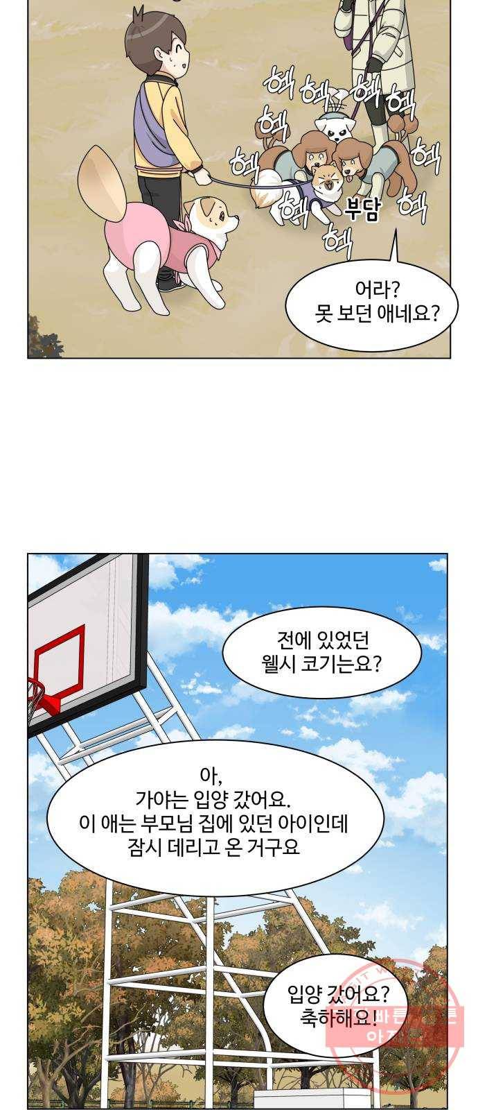 개를 낳았다 시즌2 74화 9