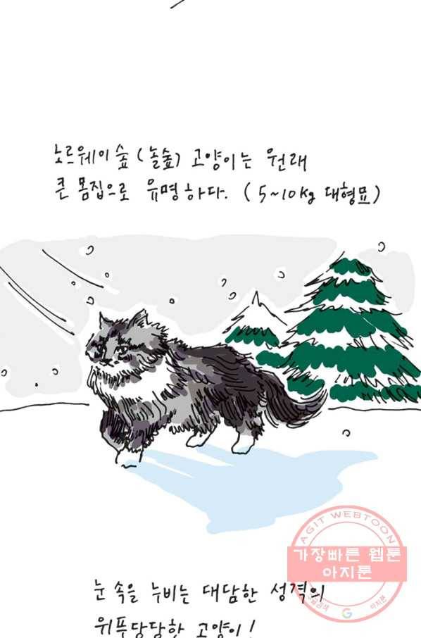 은동은동+옹동스 은동은동 옹동구리 4화. 은동은 미니어처 5
