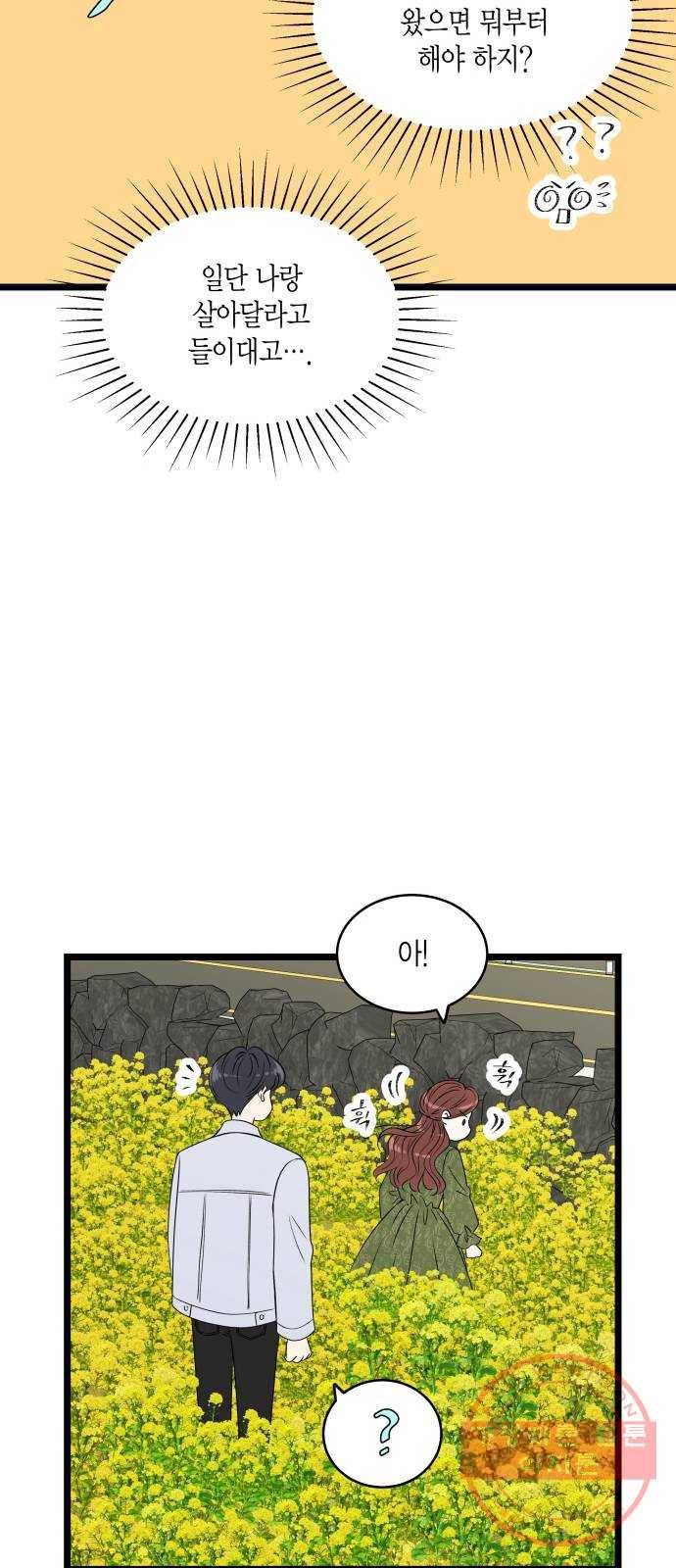 새벽 두 시의 신데렐라 최종화 15