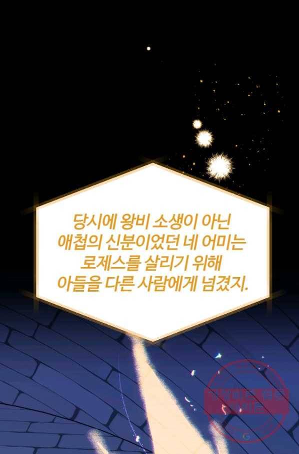 왕녀는 미친 척을 한다 48화 31