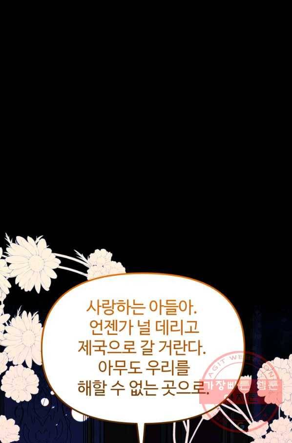 왕녀는 미친 척을 한다 48화 46