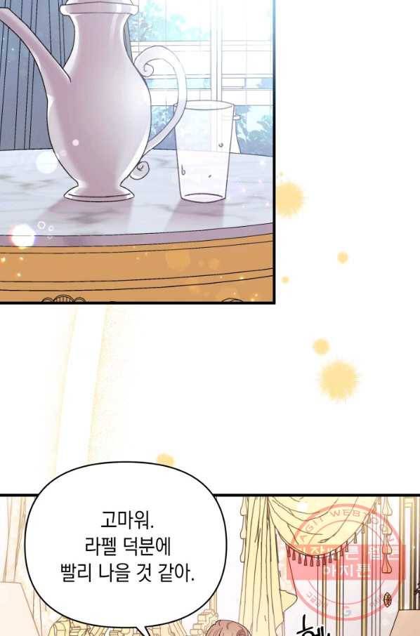남주를 주웠더니 남편이 생겨버렸다 19화 42