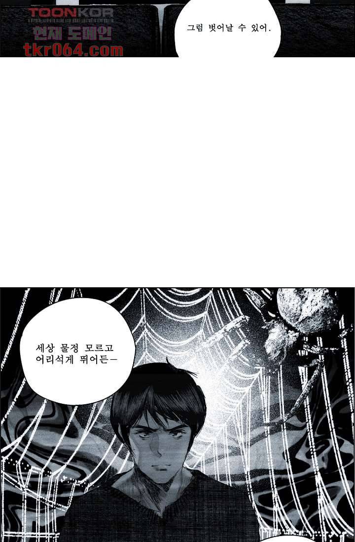 늑대처럼 울어라 14화 24