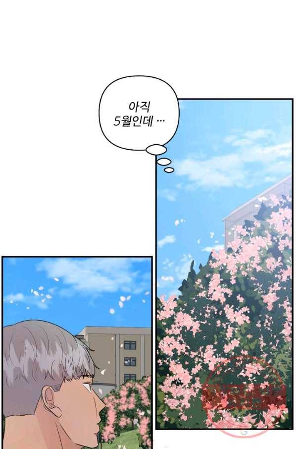 어른이 52화 39