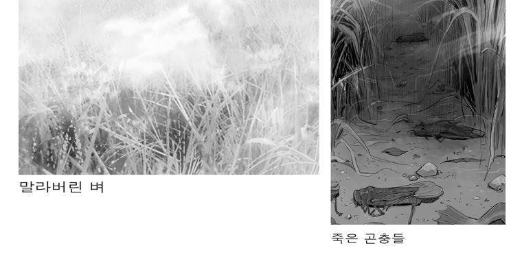 연무 18화 3