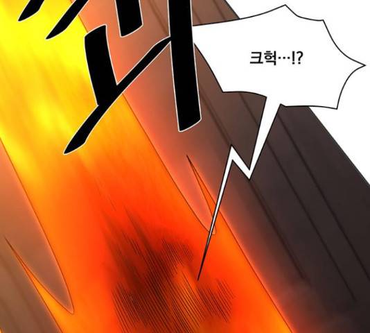꽃만 키우는데 너무강함 97화 27