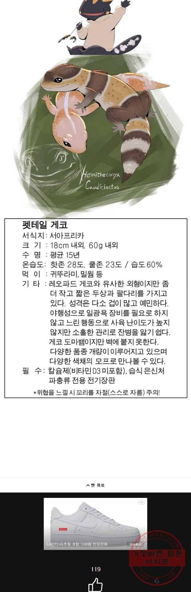 케어시트 17화 이상한 녀석 34