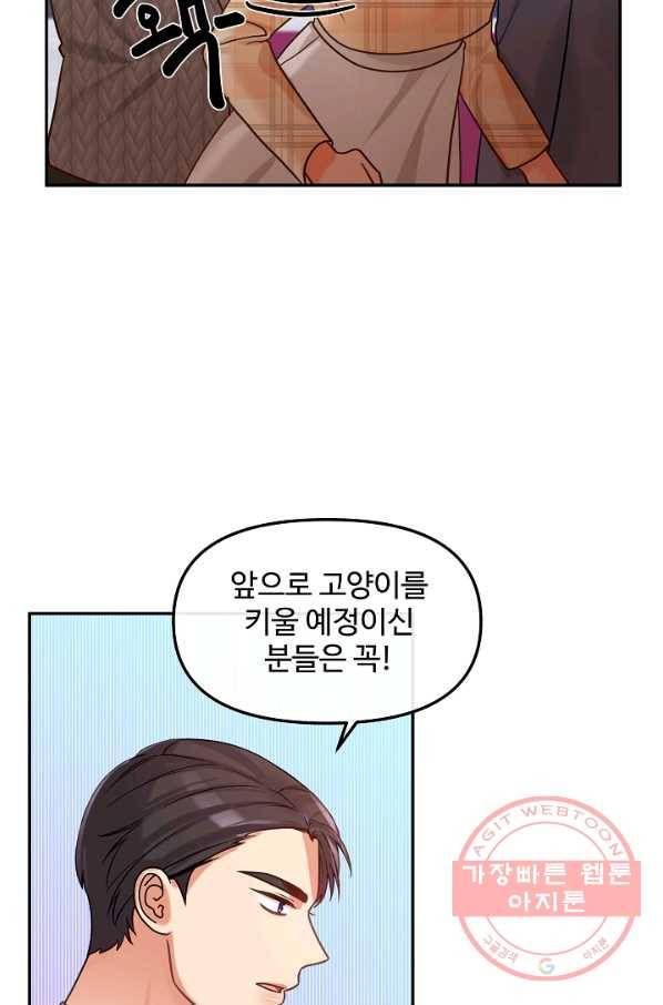 우리집 고양이는 베지테리언 컨닝 3