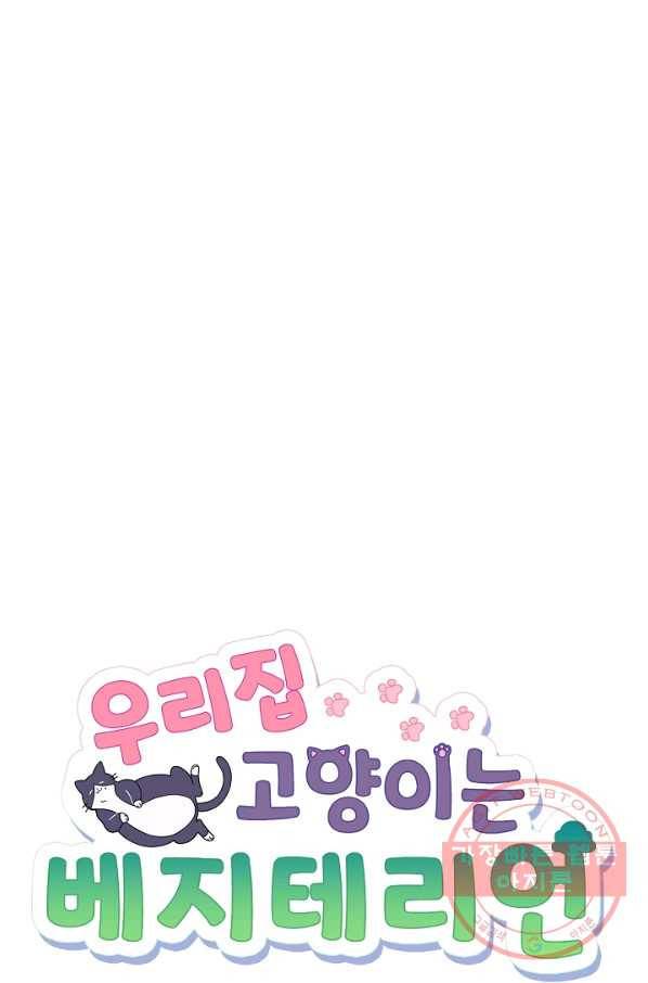 우리집 고양이는 베지테리언 컨닝 8