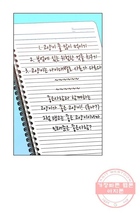 우리집 고양이는 베지테리언 컨닝 17