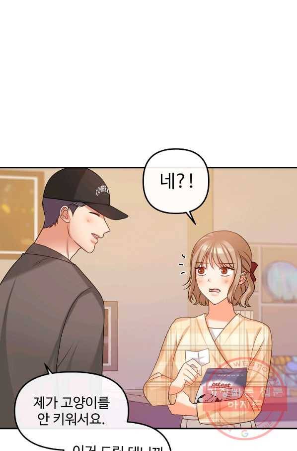 우리집 고양이는 베지테리언 컨닝 49