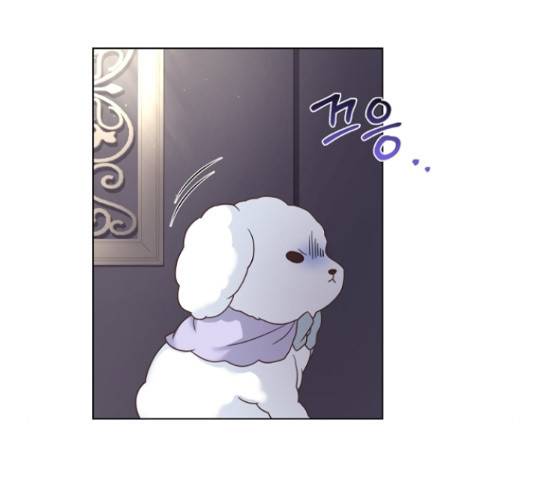 황제와의 하룻밤 49화 180
