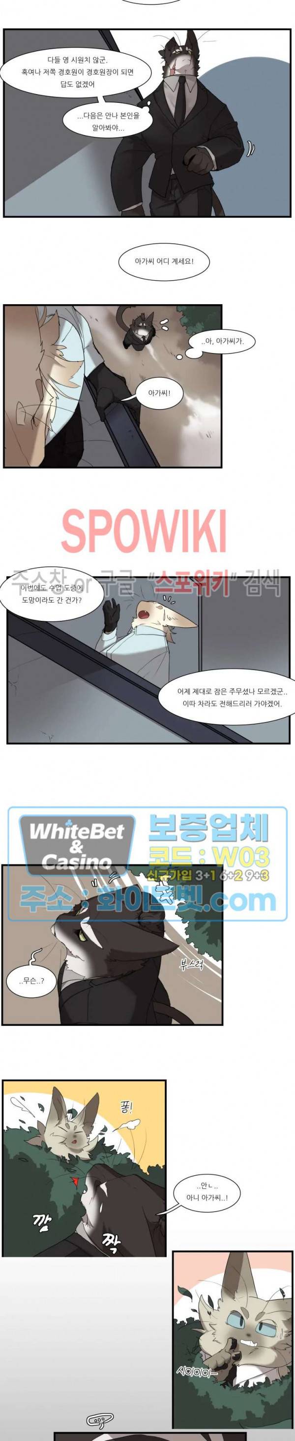 고양이 아가씨와 경호원들 249화 4