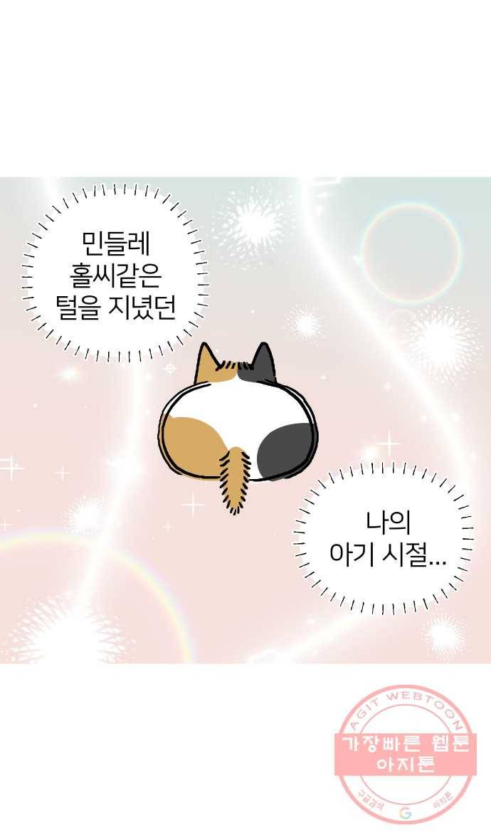 애옹식당 7화 엉덩이를 때리면 8