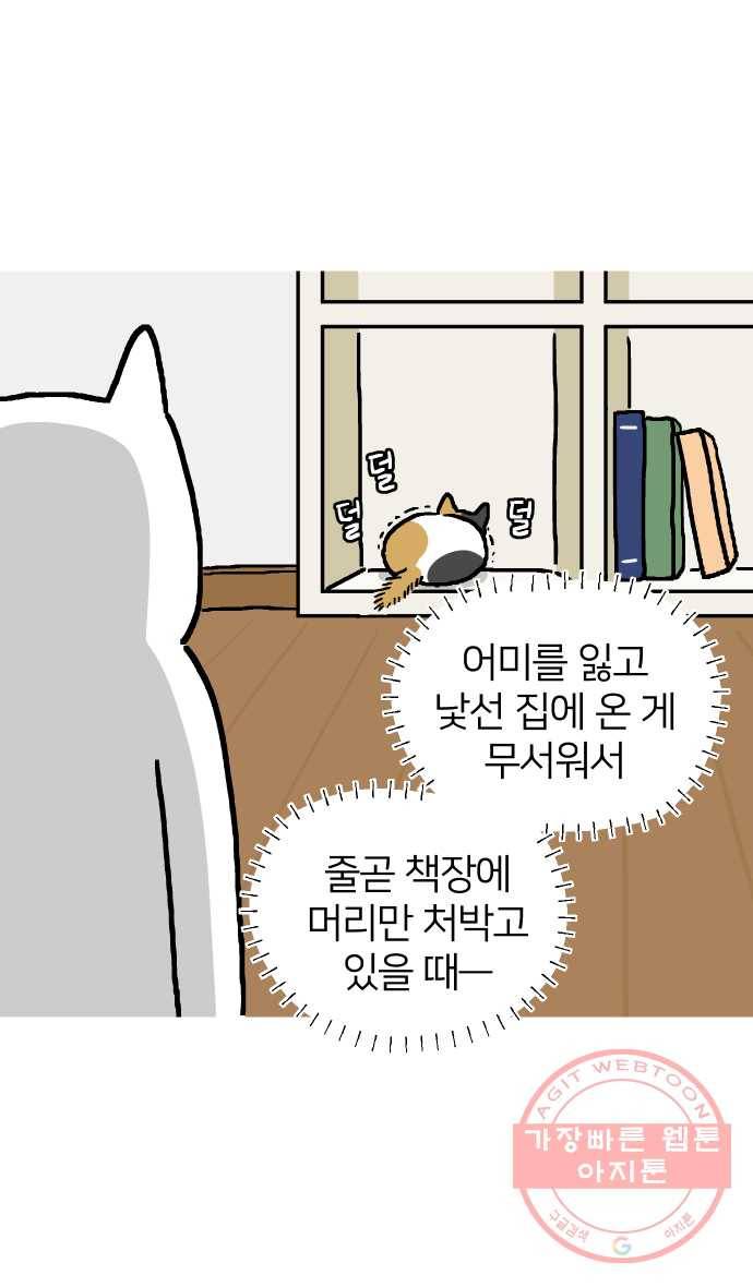 애옹식당 7화 엉덩이를 때리면 9