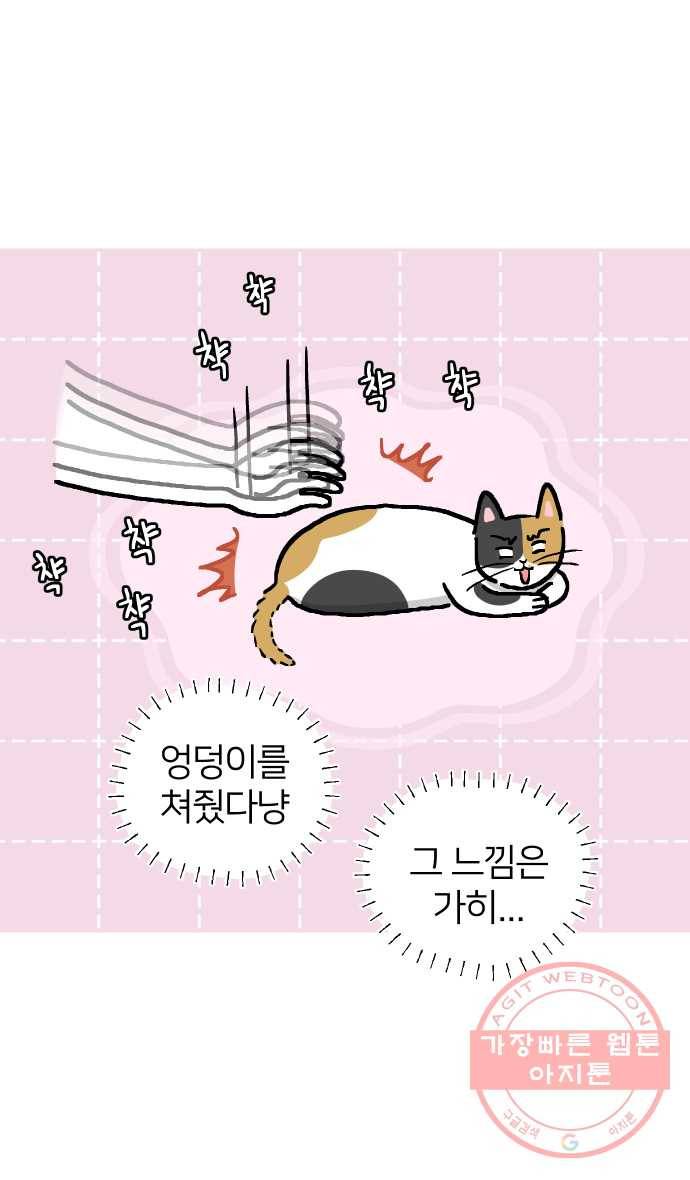 애옹식당 7화 엉덩이를 때리면 11