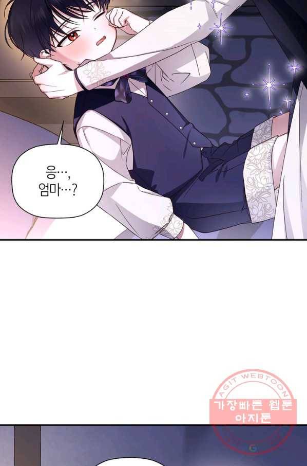 황제의 아이를 숨기는 방법 17화 28