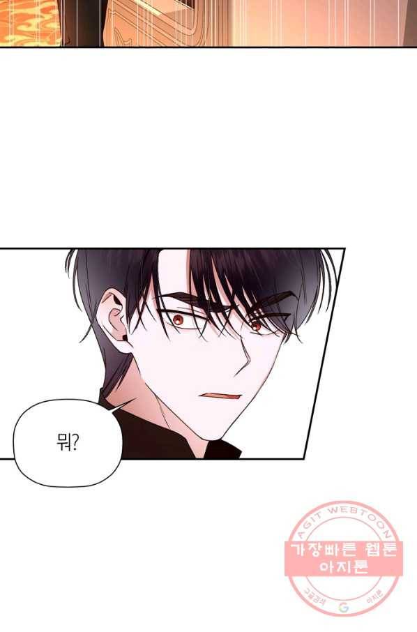 황제의 아이를 숨기는 방법 17화 65