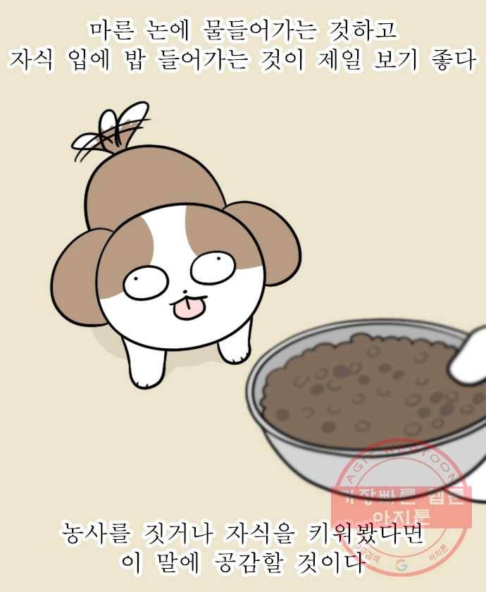 독립일기 시즌2 48화 제발 드셔주세요 1