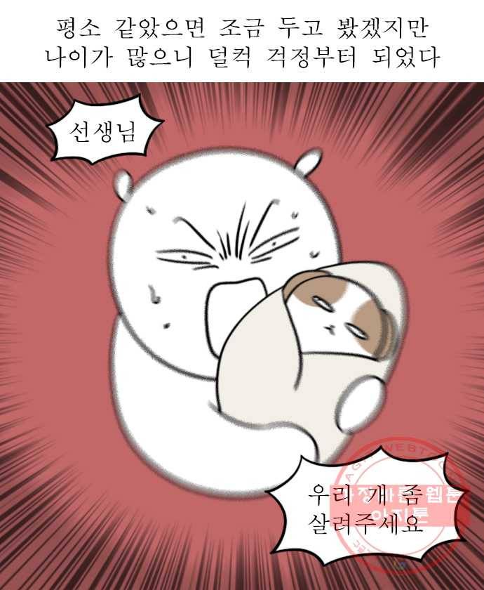 독립일기 시즌2 48화 제발 드셔주세요 6