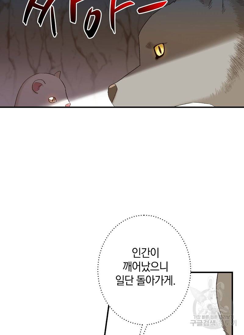 흰 족제비 양에게 죽음을! 4화 10