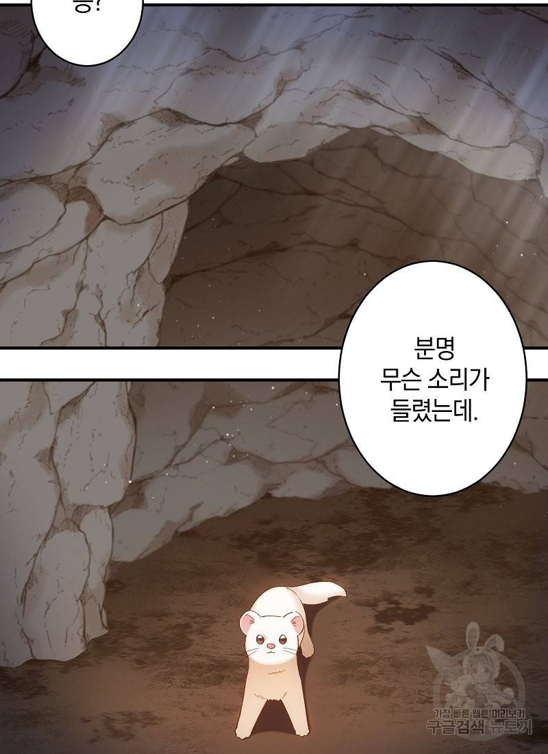 흰 족제비 양에게 죽음을! 4화 13