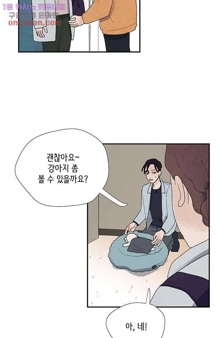 마이 러블리 투투 19화 4