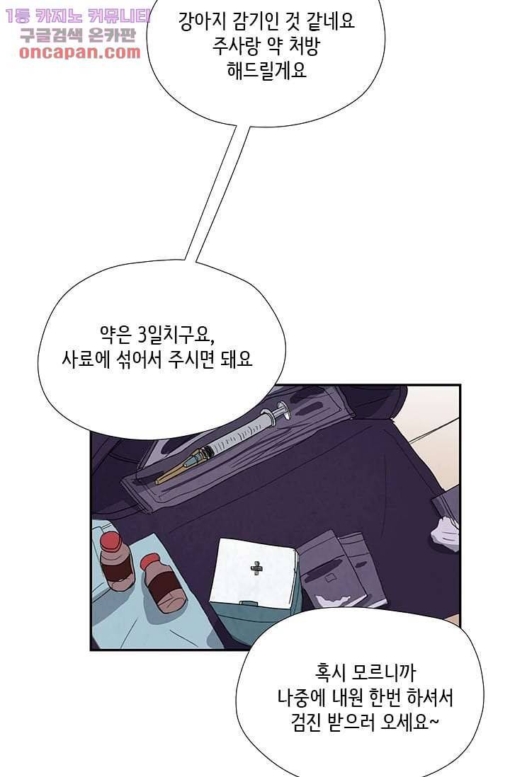 마이 러블리 투투 19화 8