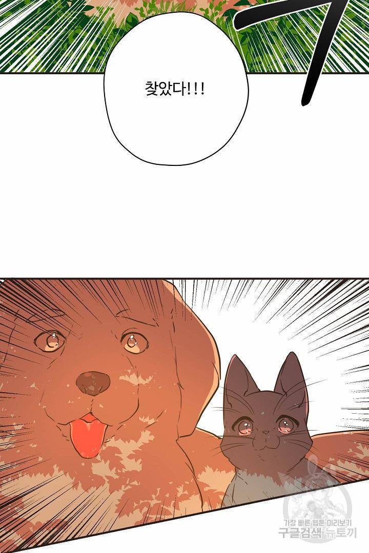 멍멍냥냥 65화 2