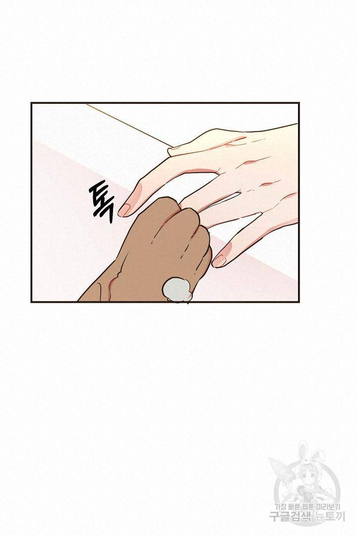 멍멍냥냥 65화 11