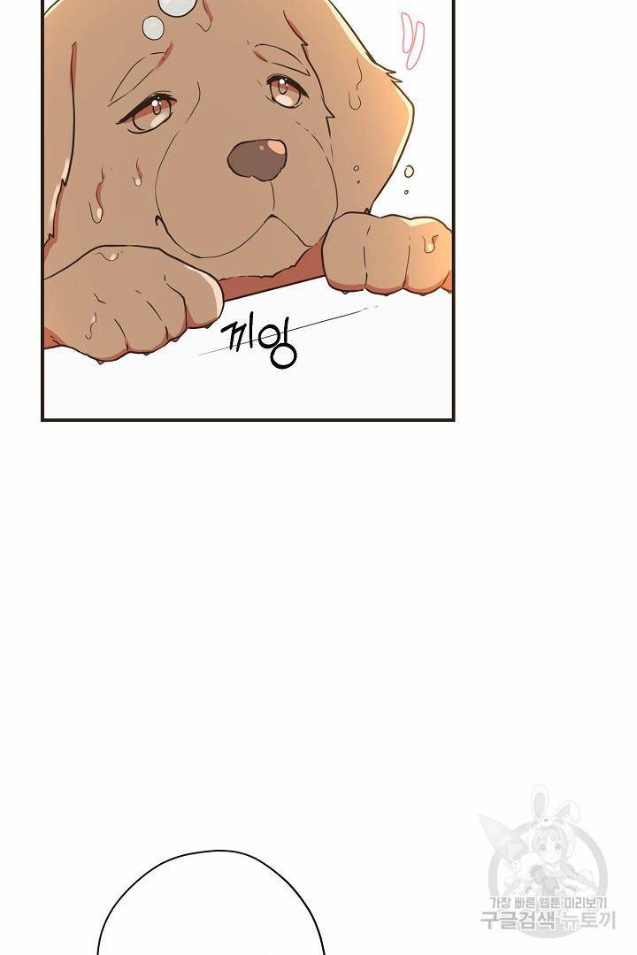 멍멍냥냥 65화 16