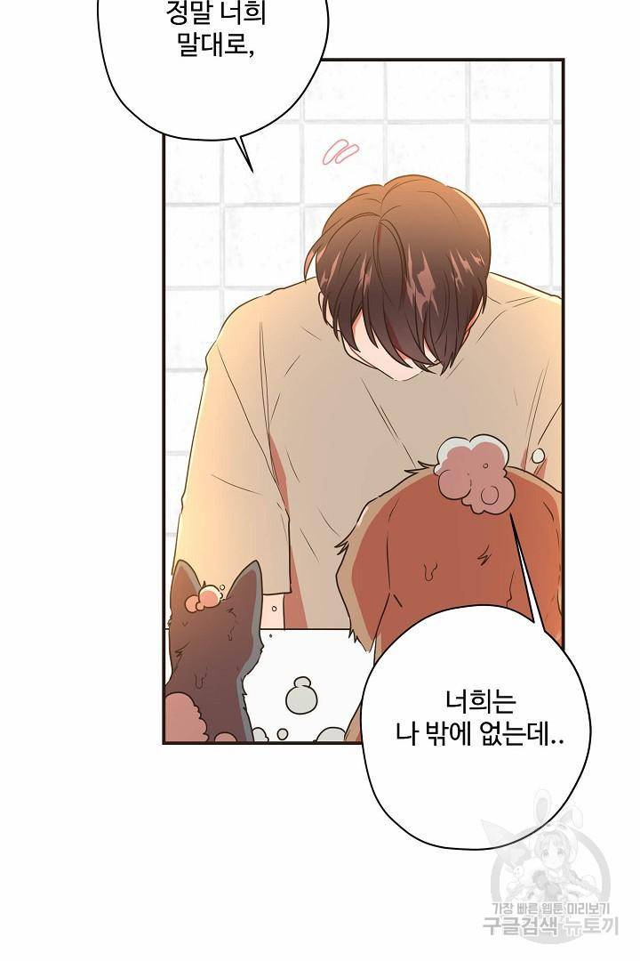 멍멍냥냥 65화 17
