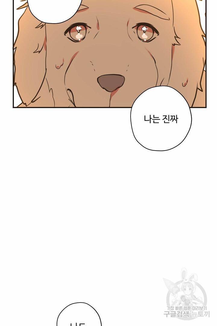 멍멍냥냥 65화 20