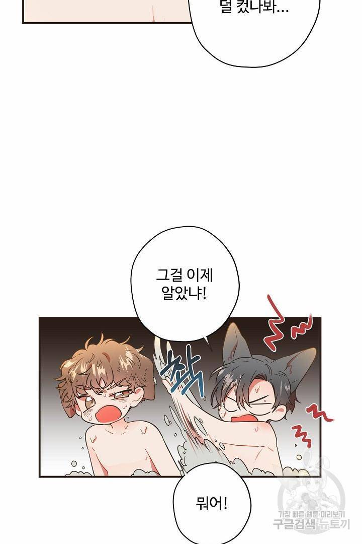 멍멍냥냥 65화 31