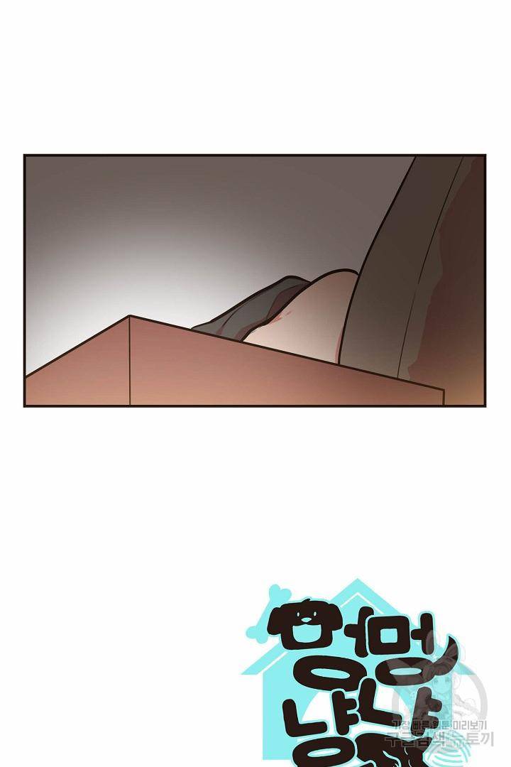 멍멍냥냥 65화 53