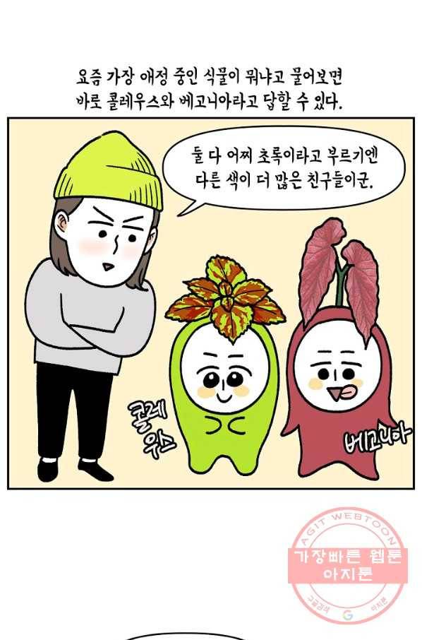 크레이지 가드너 31화 콜레우스와 베고니아 1