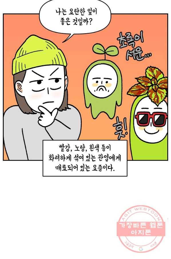 크레이지 가드너 31화 콜레우스와 베고니아 2