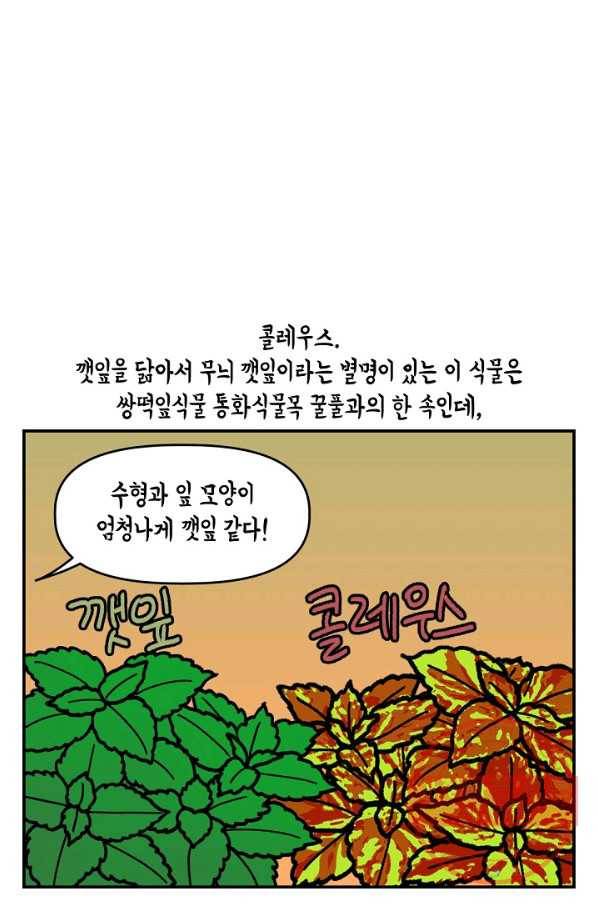 크레이지 가드너 31화 콜레우스와 베고니아 4