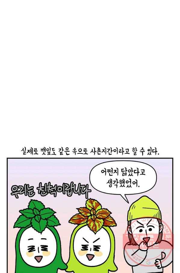 크레이지 가드너 31화 콜레우스와 베고니아 5