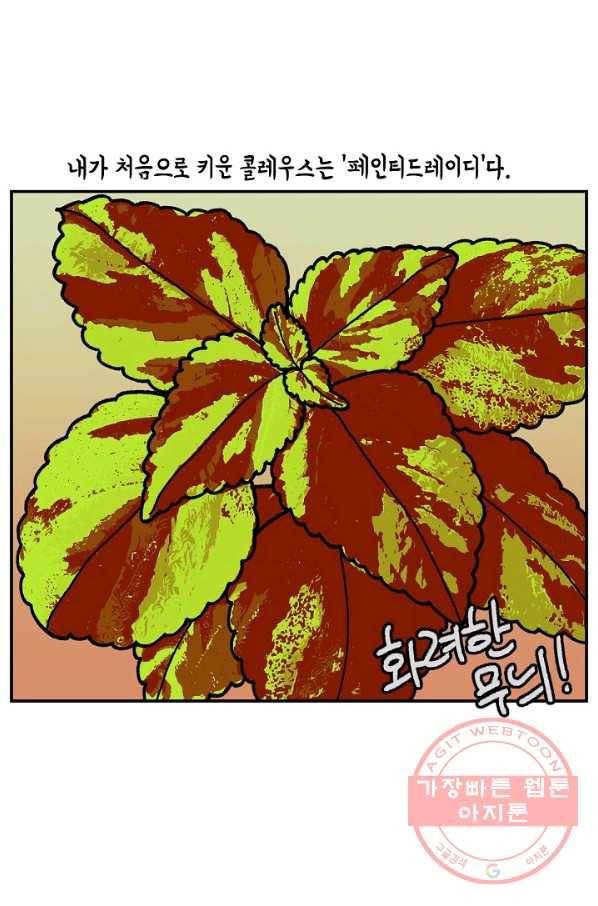 크레이지 가드너 31화 콜레우스와 베고니아 9