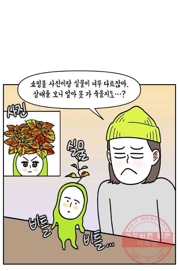 크레이지 가드너 31화 콜레우스와 베고니아 12