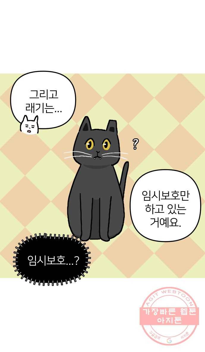 애옹식당 12화 엄마의 습격 19