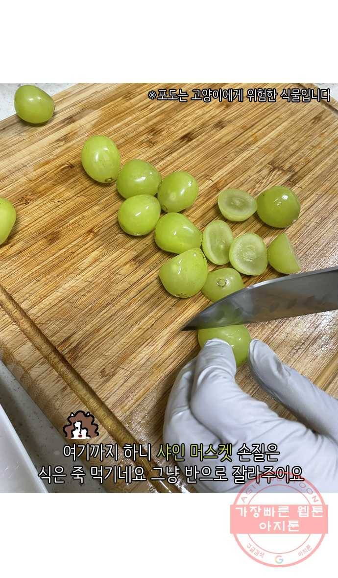 애옹식당 12화 엄마의 습격 34