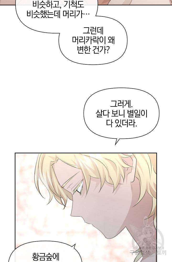 황금숲 55화 49
