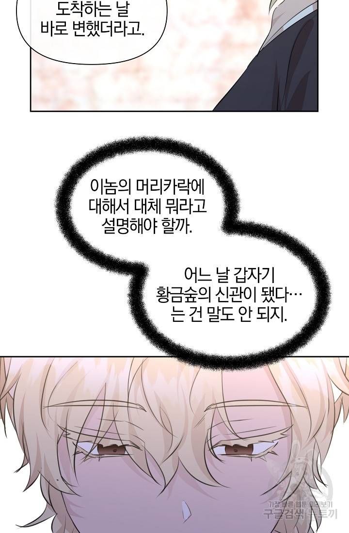 황금숲 55화 50
