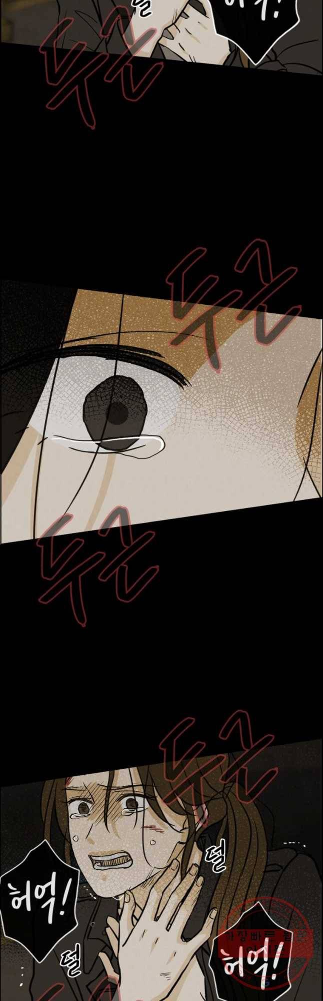 신랑이 사라졌다 56화 잔인한 시간 44